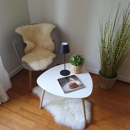 Spacieux, Calme Avec Terrasse * Wettolsheim