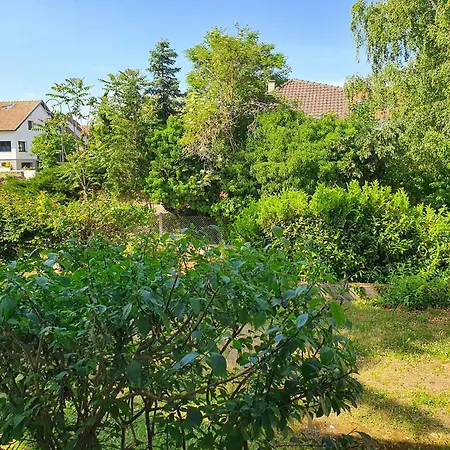 Spacieux, Calme Avec Terrasse Апартаменты