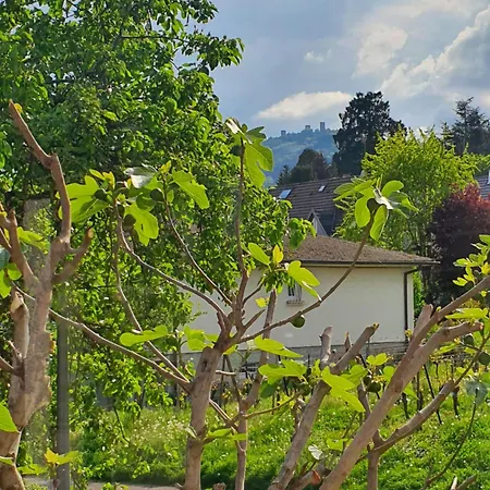 Spacieux, Calme Avec Terrasse Apartamento