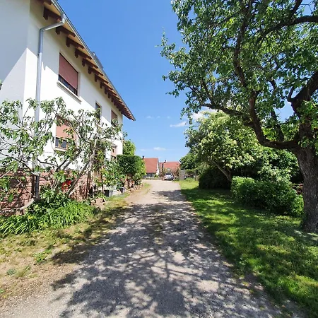 Spacieux, Calme Avec Terrasse * Wettolsheim